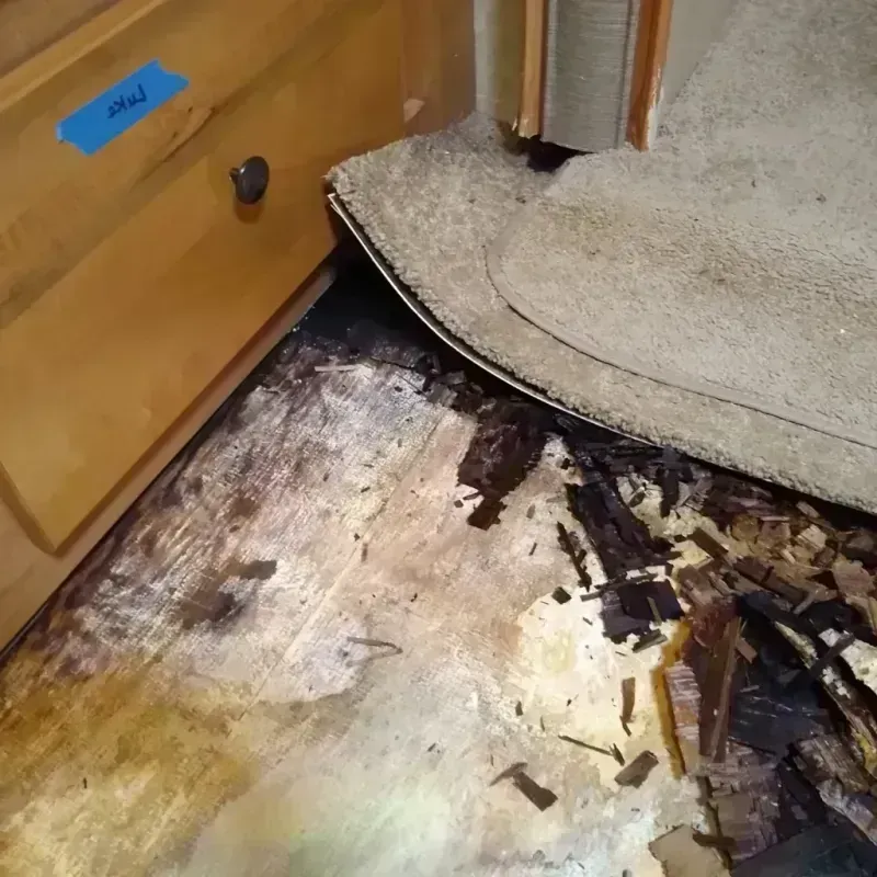 Wood Floor Water Damage in Miami Lakes, FL